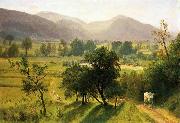 Conway Valley New Hampshire Bierstadt